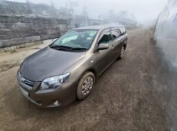 Toyota Corolla fielder 2010