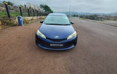 Toyota wish 2010