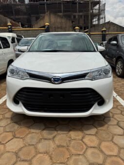 Toyota Corolla fielder 2016